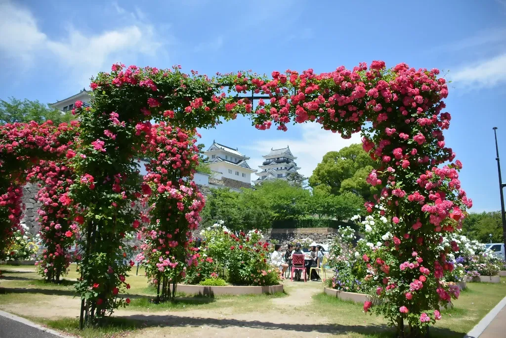 写真